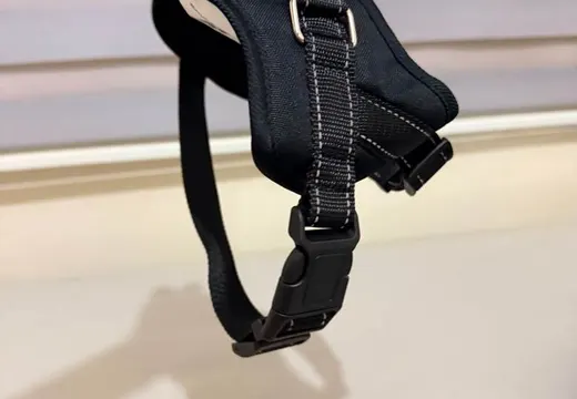 Kaliteli sıfır köpek tasması mama kabı ve kayışlar