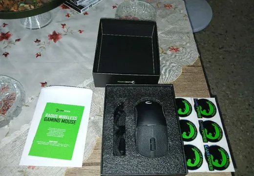 Gamepower Radus mouse
