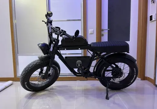 Ape Ryder Bonobo