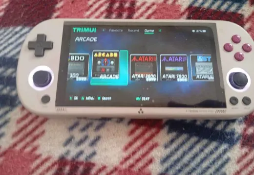 Trimui Smart Pro