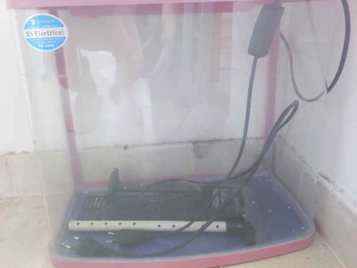 Elektrikli, ışıklı ve filtreli akvaryum
