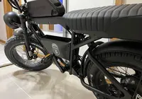 Ape Ryder Bonobo 2