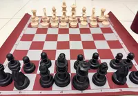 Çantalı Satranç Takımı – Temiz Durumda 2