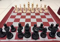 Çantalı Satranç Takımı – Temiz Durumda 3