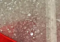 Büyüleyici Kırmızı, Yüksek Yakalı Boncuk Işlemeli Abiye 2